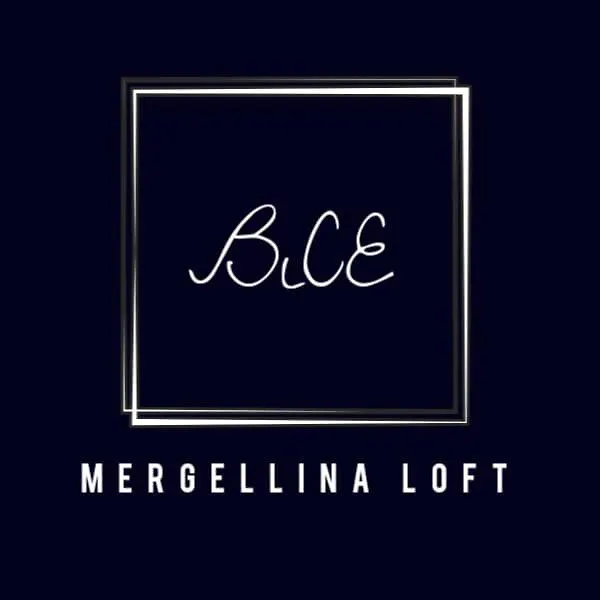 Bice Mergellina Loft Napoli