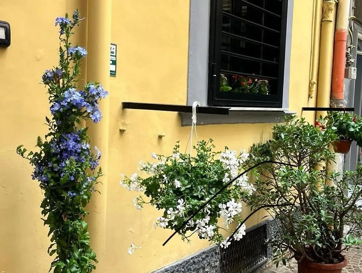 Bice Mergellina Loft Napoli Italia